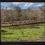 مزرعة للإقامة Quinta Do Cavaco - In A Farm Lazaro