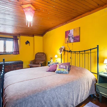 Quinta Do Cavaco - In A Farm Lazaro