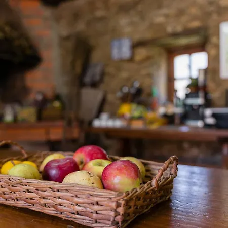Feriegård Quinta Do Cavaco - In A Farm