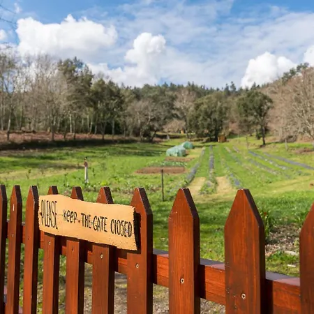 Quinta Do Cavaco - In A Farm Lazaro
