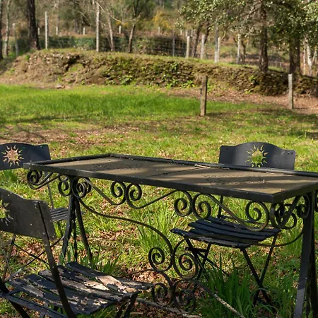 Quinta Do Cavaco - In A Farm Feriegård