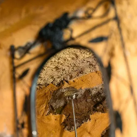 Κατάλυμα σε φάρμα Quinta Do Cavaco - In A Farm Lazaro