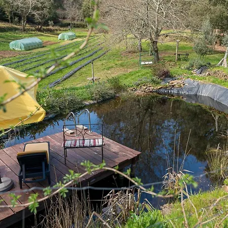 Quinta Do Cavaco - In A Farm Feriegård