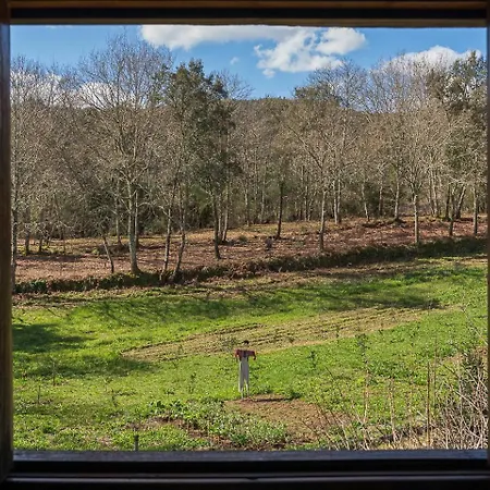 Κατάλυμα σε φάρμα Quinta Do Cavaco - In A Farm Lazaro