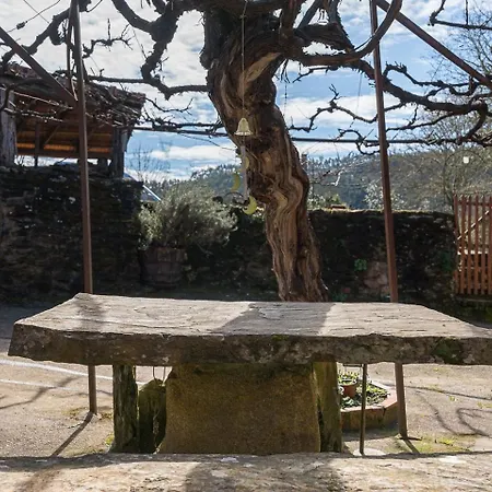 Quinta Do Cavaco - In A Farm * Lazaro