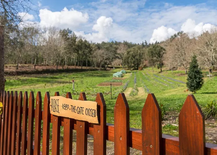 Quinta Do Cavaco - In A Farm Lazaro