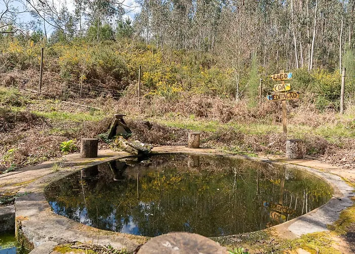 Quinta Do Cavaco - In A Farm *